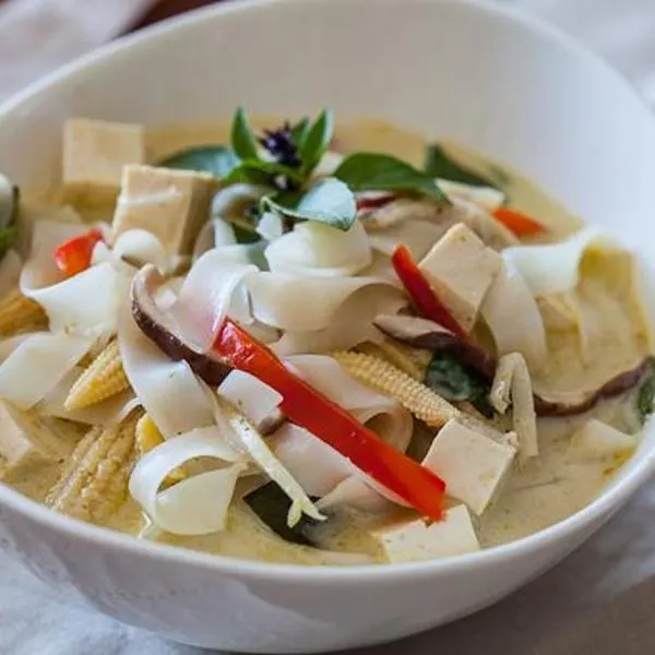 Dairy-Free Nut-Free Vegetable Thai Curry Noodle Soup — South east asian recipe