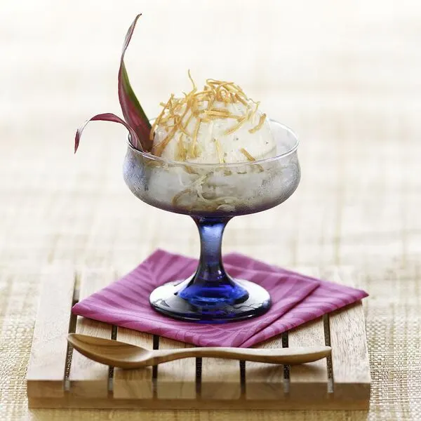 Vegetarian Gluten-Free Banana-Coconut Dairy-Free Ice Cream — American recipe