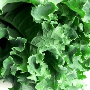 Vegetarian Nut-Free Green Soup — Mediterranean recipe