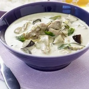 Gluten-Free Dairy-Free Easy Thai green chicken curry — South east asian recipe