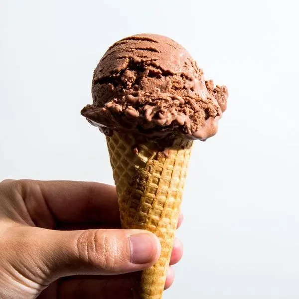 Vegetarian Gluten-Free Chocolate Cashew Vegan Ice Cream — American recipe