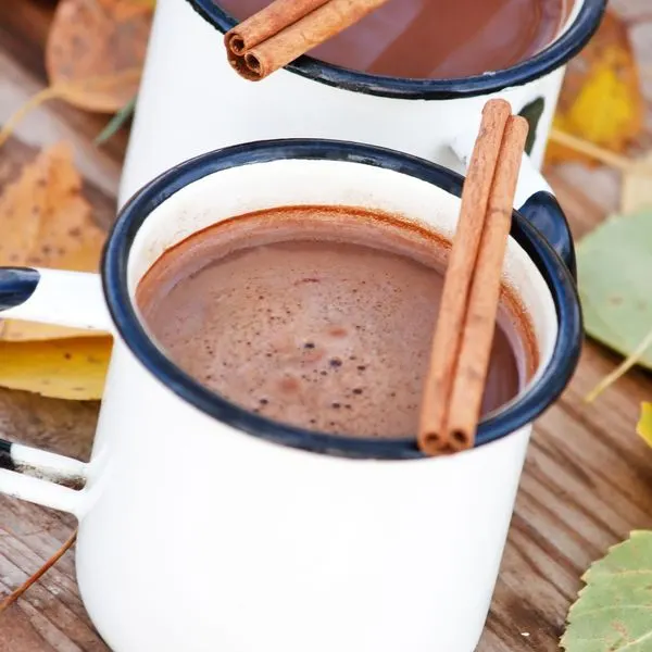 Vegetarian Gluten-Free Mexican Hot Chocolate — Mexican recipe