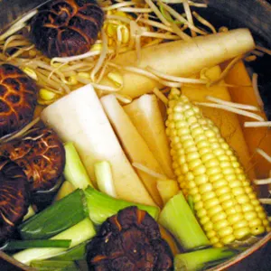 Vegan Vegetarian Vegetarian Stock — American recipe