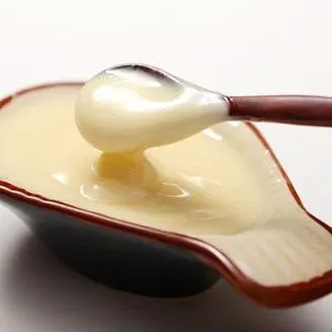 Vegan Vegetarian Vegan Mayonnaise Recipe — American recipe