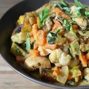 Gluten-Free Dairy-Free Thai Chicken Curry — South east asian recipe