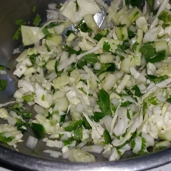 Vegan Vegetarian Mexican slaw — Mexican recipe