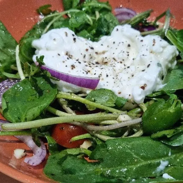Vegetarian Gluten-Free Cottage Cheese, Tomato and Green leafy Salad — American recipe