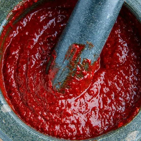Vegan Vegetarian Mexican Adobo Sauce — Mexican recipe