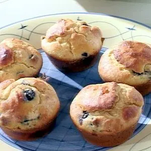 Vegetarian Nut-Free Low Carb Blueberry Muffins — American recipe
