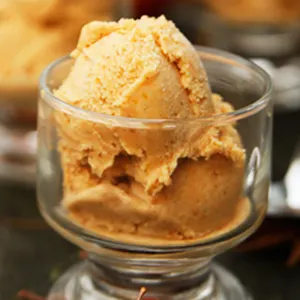Vegan Vegetarian Dairy-Free Pumpkin Spice Ice Cream — American recipe