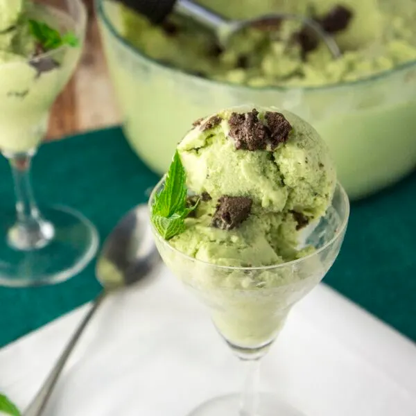 Nut-Free Shellfish-Free Dairy-Free Mint Brownie Ice Cream — French recipe