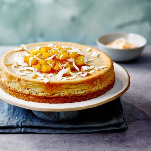 Nut-Free Shellfish-Free Dairy-free coconut cheesecake — American recipe