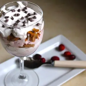 Vegetarian Nut-Free Gluten-Free 4 Ingredient Cranberry Trifle Recipe — American recipe