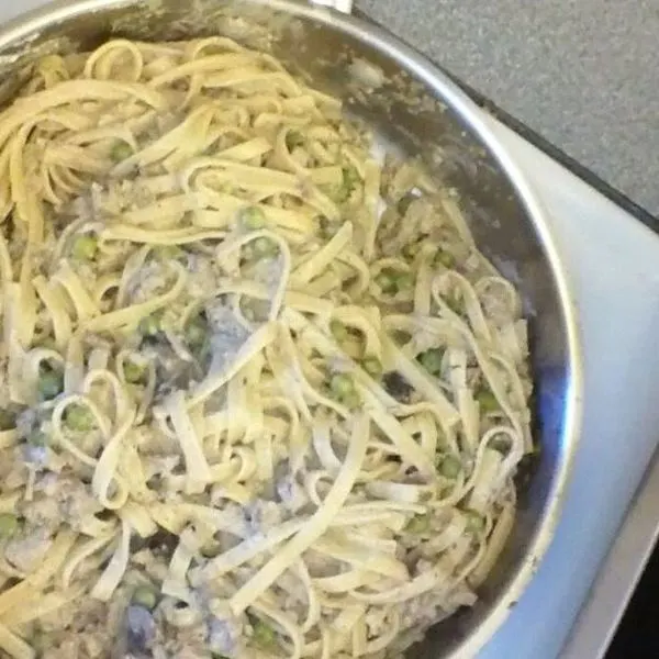 Nut-Free Shellfish-Free Leftover Beef Stroganoff — Central europe recipe