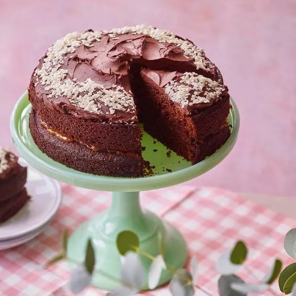 Vegetarian Nut-Free Dairy-free chocolate cake — American recipe
