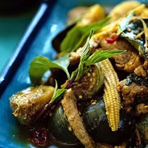 Gluten-Free Dairy-Free Jungle Curry with Pork and Thai Eggplant — South east asian recipe
