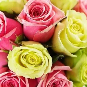 Vegan Vegetarian Cooking with Roses: Rose Salad Amoureux! — Mediterranean recipe
