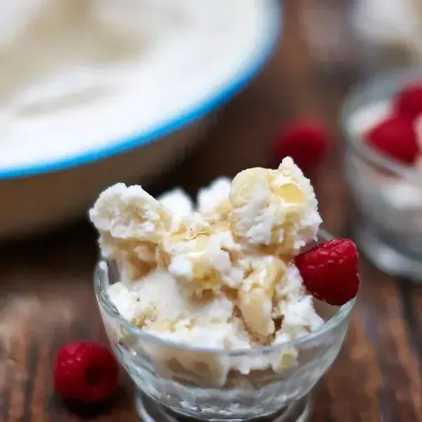 Vegan Vegetarian Dairy-free vanilla ice cream — American recipe