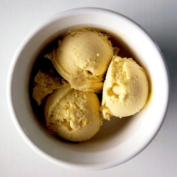 Vegetarian Gluten-Free Dairy-free Lemon Ice Cream — American recipe