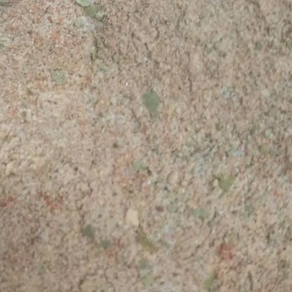 Vegan Vegetarian Seafood Seasoning — American recipe