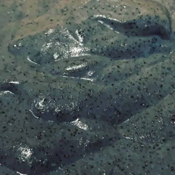 Vegan Vegetarian Black Sesame Dessert — South east asian recipe
