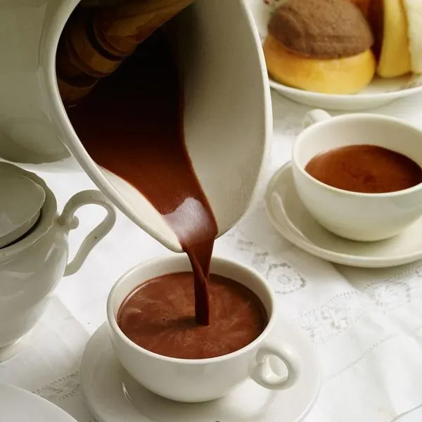 Vegan Vegetarian Chocolate de Agua (Mexican Hot Chocolate) — Mexican recipe