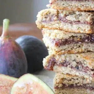 Vegan Vegetarian Gluten Free Fig Newtons — American recipe