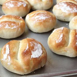 Vegan Vegetarian The Italian Baker's Semelle Rolls — British recipe