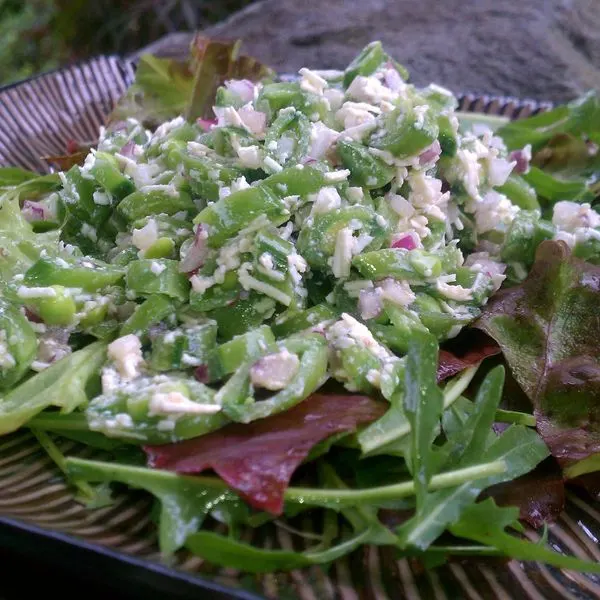Vegetarian Gluten-Free Sugar Snap Salad — American recipe