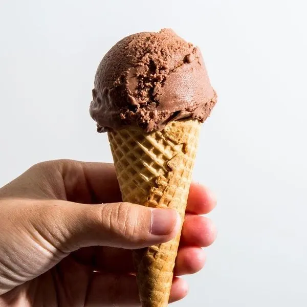 Vegetarian Gluten-Free Chocolate Soy Vegan Ice Cream — American recipe
