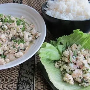 Gluten-Free Dairy-Free Thai Chicken Larb Recipe — South east asian recipe