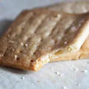 Vegetarian Gluten-Free Gluten-Free Tuesday: Saltines — American recipe