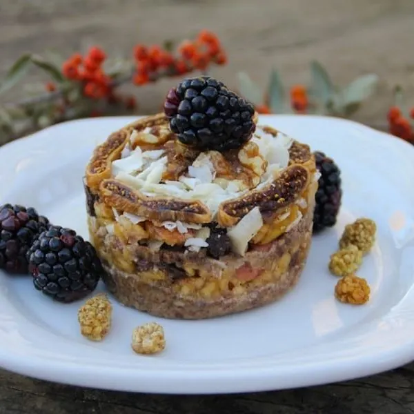 Vegetarian Nut-Free Raw Apple Strudel Dessert — French recipe