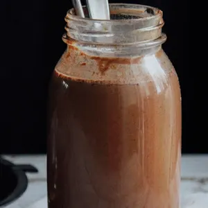 Vegan Vegetarian DAIRY-FREE CHOCOLATE MILK recipes — Indian recipe