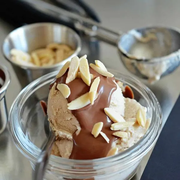 Gluten-Free Nut-Free Dairy Free Vanilla Ice Cream and Chocolate Ganache — American recipe