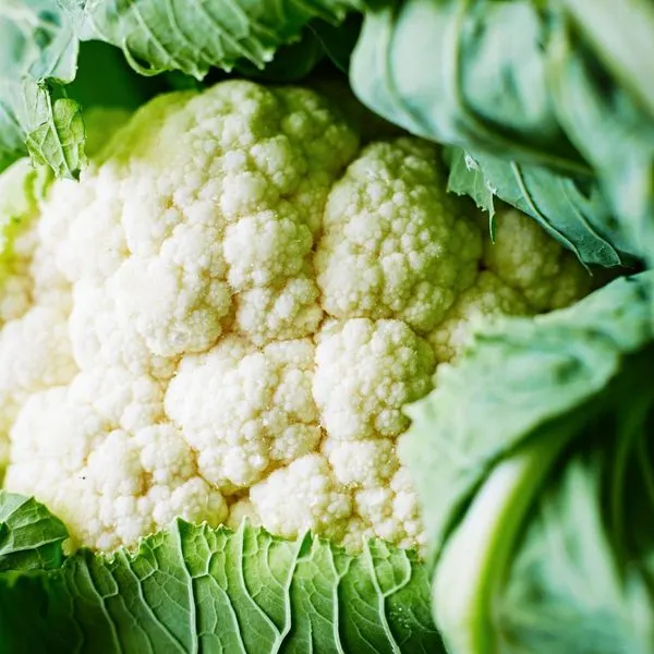 Vegetarian Gluten-Free Cheesy Keto Mashed Cauliflower — American recipe