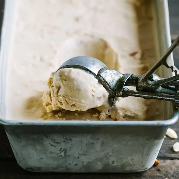 Vegan Vegetarian Dairy Free Toasted Almond and Coconut Ice Cream — American recipe