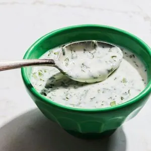 Vegetarian Gluten-Free Vegan Cilantro Sauce — American recipe