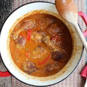 Nut-Free Shellfish-Free Chicken Paprikash Recipe — Central europe recipe