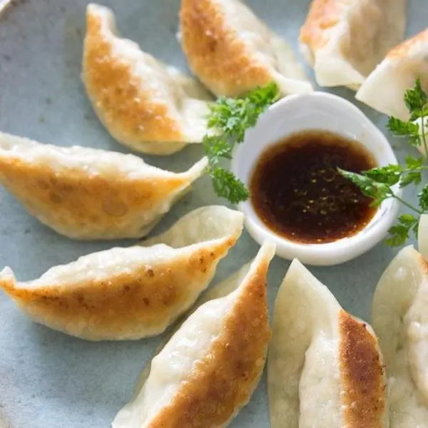 Vegetarian Dairy-Free Vegan Gyoza — American recipe