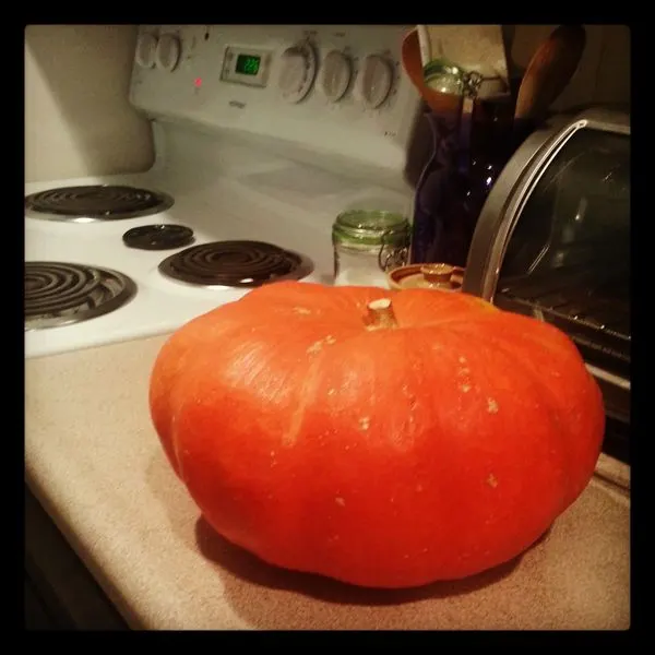Vegetarian Gluten-Free No Frill Cinderella Pumpkin Soup — American recipe