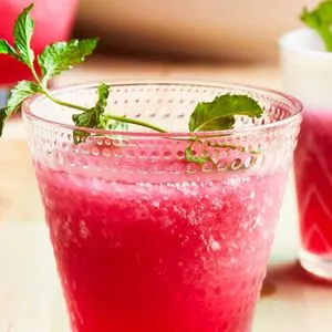 Vegan Vegetarian 2-Ingredient Frozen Italian Ice Margaritas — World recipe