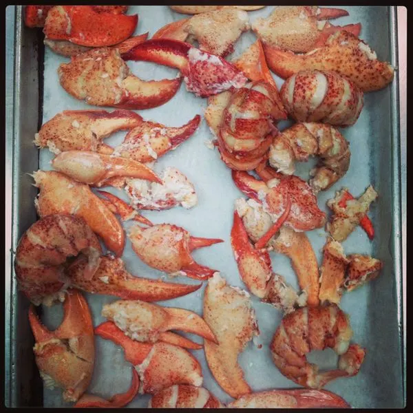 Nut-Free Shellfish-Free Gluten-Free Lobster Mac & Cheese — American recipe