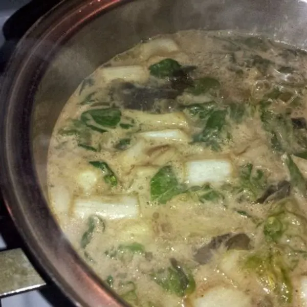 Vegetarian Dairy-Free No-Pho Soup, Thai Style — South east asian recipe
