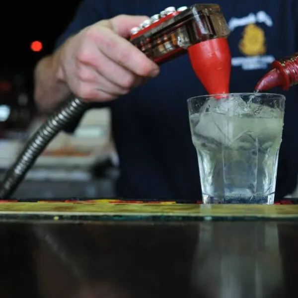 Vegan Vegetarian Jennifer’s Low-Calorie Margarita — World recipe