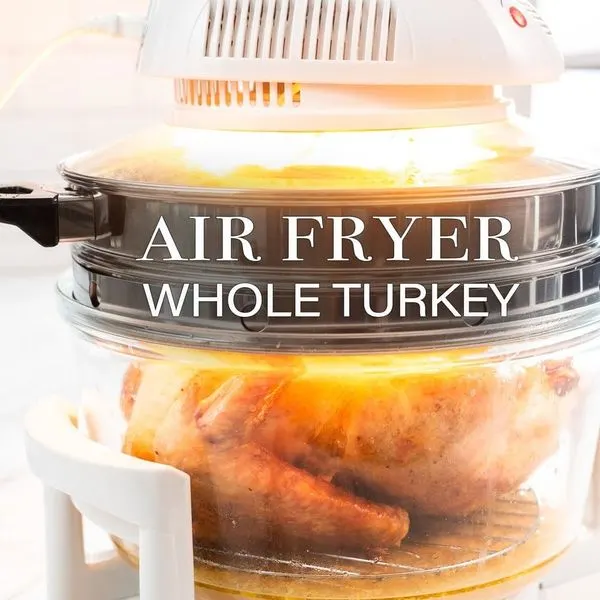 Nut-Free Shellfish-Free Air Fryer Turkey with Gravy — American recipe