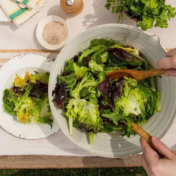 Vegan Vegetarian Basic Green Salad with Vinaigrette — American recipe