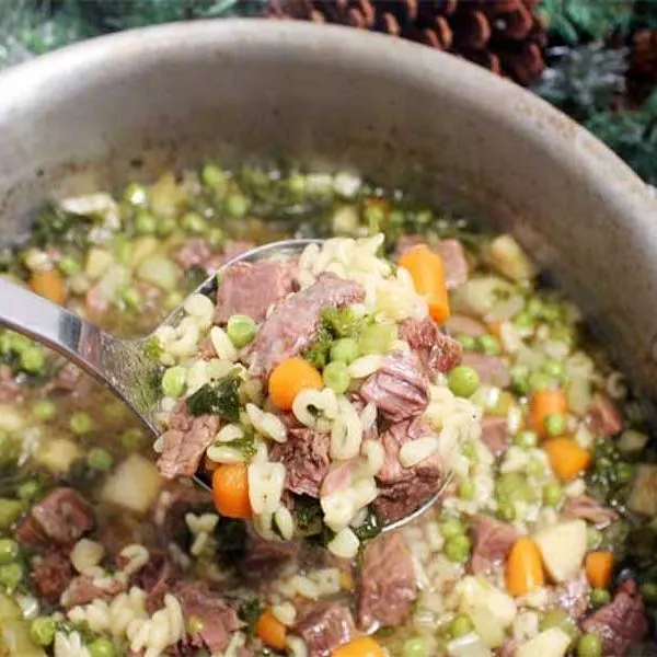 Dairy-Free Nut-Free Vegetable Beef Stew — British recipe
