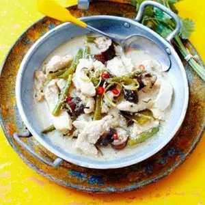 Gluten-Free Dairy-Free Thai green chicken curry — South east asian recipe
