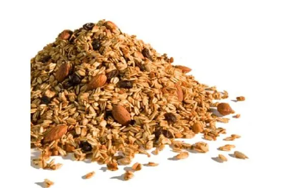 Vegetarian Keto Easy Granola